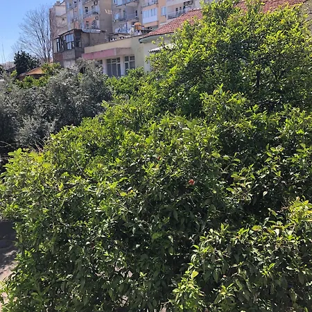 Lejlighedshotel Ozzy Homes 1+0 Muhtesem Harika Konum Daire 3*